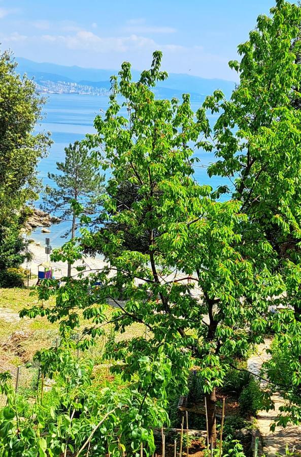 Room Soba U Opatiji Na Lipovici Opatija Bagian luar foto